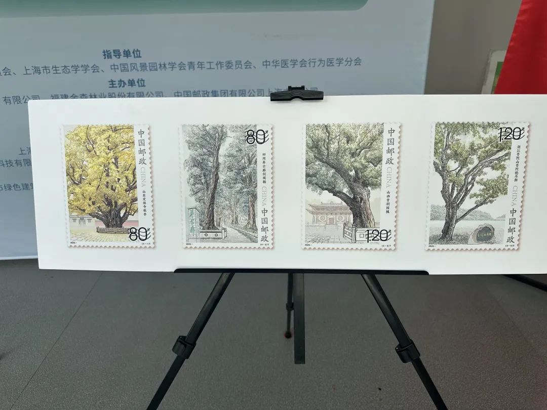 全國生態(tài)日來了！福建金森攜手舉辦上?！吧胶Ｍ铡ば雍糜心恪被顒?dòng)